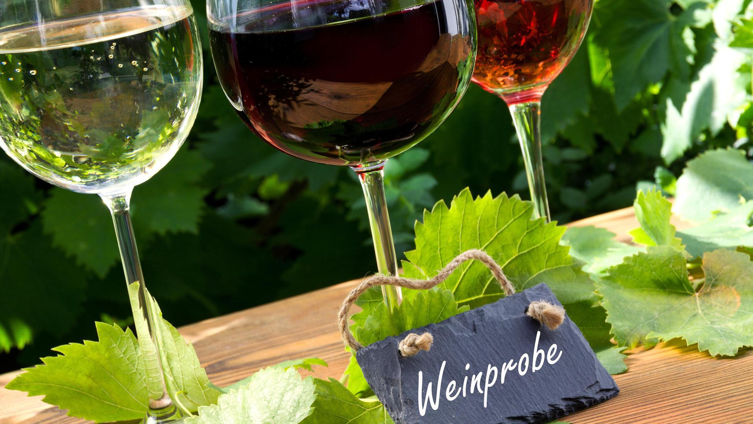 Weinwanderung & Weinprobe